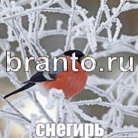 Слова: что на картинке одноклассники