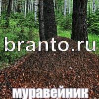 Игра Слова: что на картинке