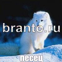 Слова: что на картинке