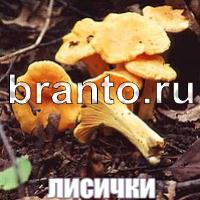 Слова: что на картинке ответы в картинках