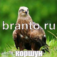 Слова: что на картинке найти ответы