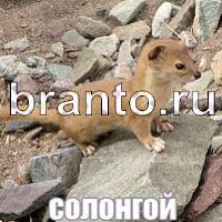 Слова что на картинке помощь