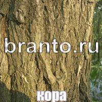 Слова что на картинке решения на все уровни