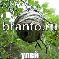 Слова что на картинке ответы в одноклассниках