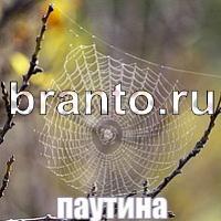 Слова что на картинке одноклассники ответы