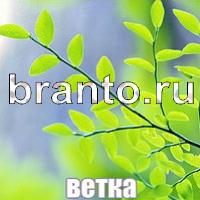 Слова что на картинке ответы скриншоты