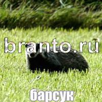 Слова что на картинке