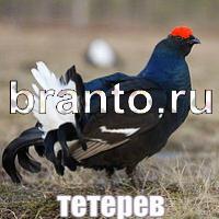 Игра Слова что на картинке