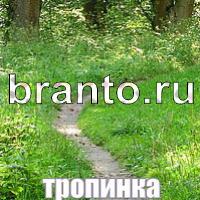 Слова что на картинке ответы в скриншотах