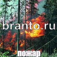 игра Слова что на картинке найти помощь