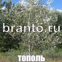 Слова что на картинке