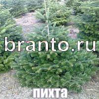 ответы на игру Слова: что на картинке?