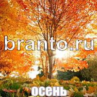 Слова: что на картинке?