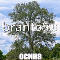Слова: что на картинке решебник