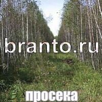 Слова: что на картинке? ответы в картинках