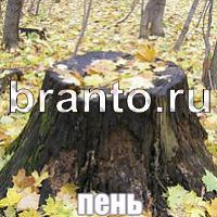 Слова: что на картинке?