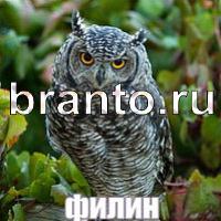 игра Слова: что на картинке ответы