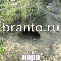 Слова: что на картинке одноклассники