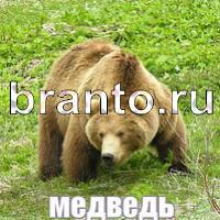 Слова: что на картинке? ответы