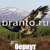 Слова: что на картинке решебник