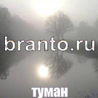 Слова: что на картинке? ответы в картинках