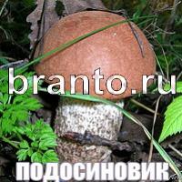 игра Слова: что на картинке ответы