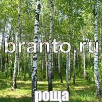 Игра Слова: что на картинке