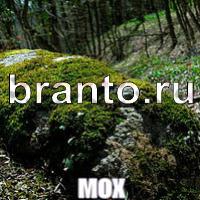 Слова что на картинке помощь