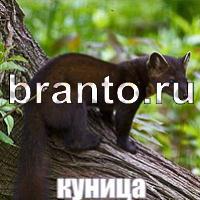 Слова что на картинке ответы в одноклассниках