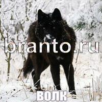 Слова что на картинке одноклассники ответы