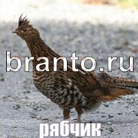 Слова что на картинке