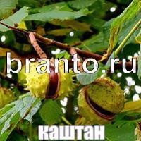 Слова что на картинке решения форум