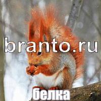 Слова что на картинке ответы в скриншотах