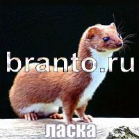 игра Слова что на картинке найти помощь