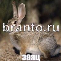 Слова что на картинке решения