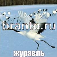 ответы на игру Слова: что на картинке?