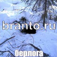 Слова: что на картинке решебник