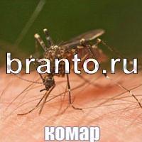 Слова: что на картинке?