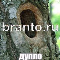 игра Слова: что на картинке ответы