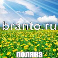 Слова: что на картинке одноклассники