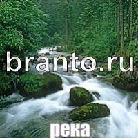 Слова: что на картинке ответы в картинках