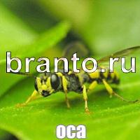 Слова что на картинке ответы в одноклассниках