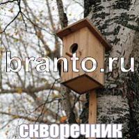 Слова что на картинке ответы скриншоты