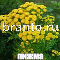 Слова что на картинке