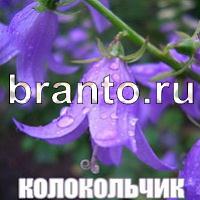 Слова: что на картинке решебник