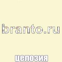 Помощь Слова: что на картинке