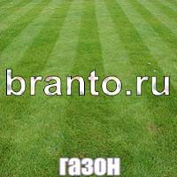 Слова что на картинке ответы в скриншотах