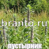 Слова: что на картинке? ответы в картинках