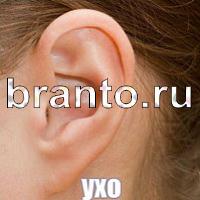 Игра Слова: что на картинке