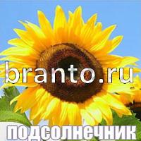 Слова: что на картинке решения